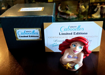 Caboodles Silent Auction