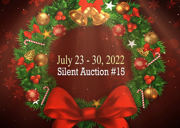 Caboodle Silent Auction
