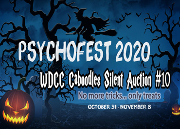 CaboodleSilentAuction
